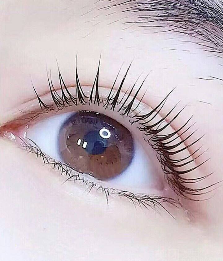 浓睫术